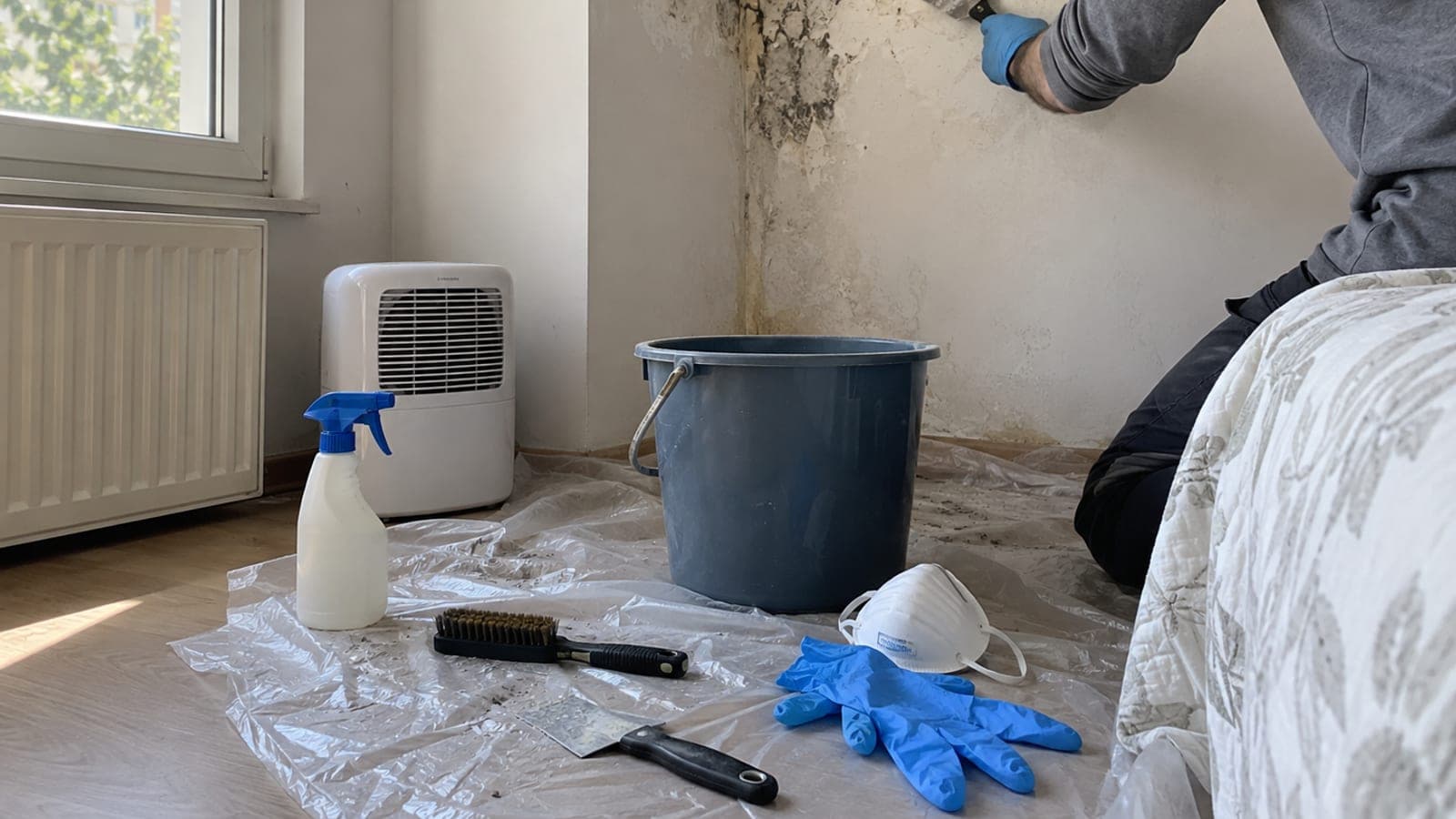 Yatak odası duvarının tavan köşesinde siyah küf lekesi ve kabarmış boya; önünde spatula, sprey şişesi, eldiven ve nem alma cihazı duruyor.